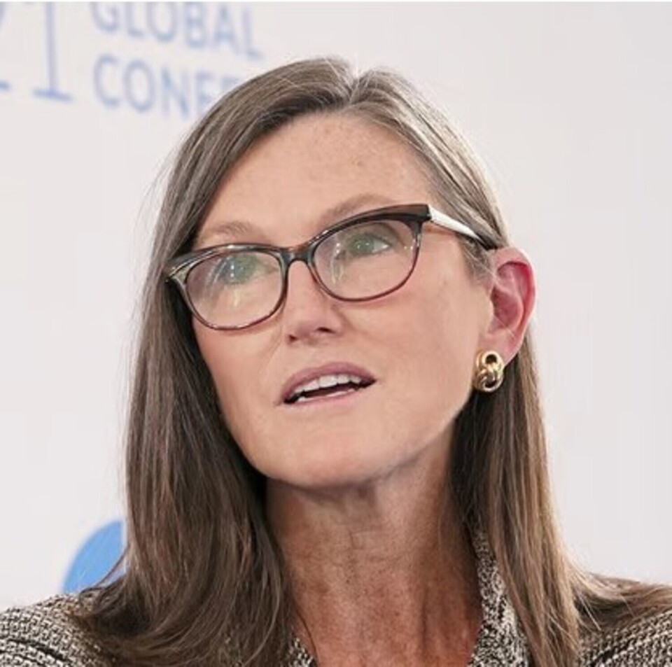 Cathie Wood Q4 2022 portfolio The ultimate guide to investing in tech