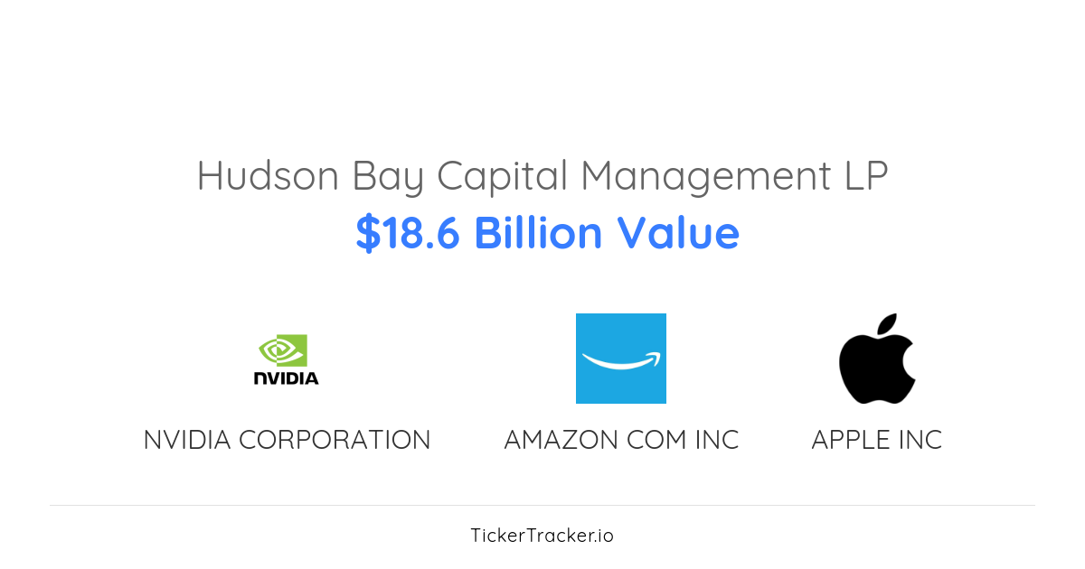 Hudson Bay Capital Management LP